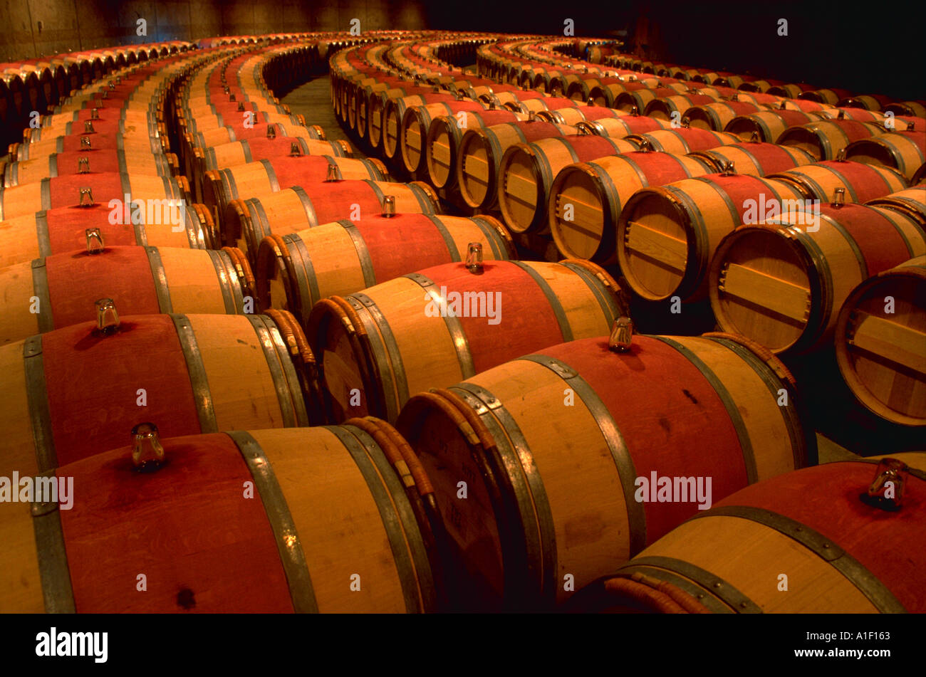 Rows of french oak barrels for aging wine at Opus One Winery Napa Stock