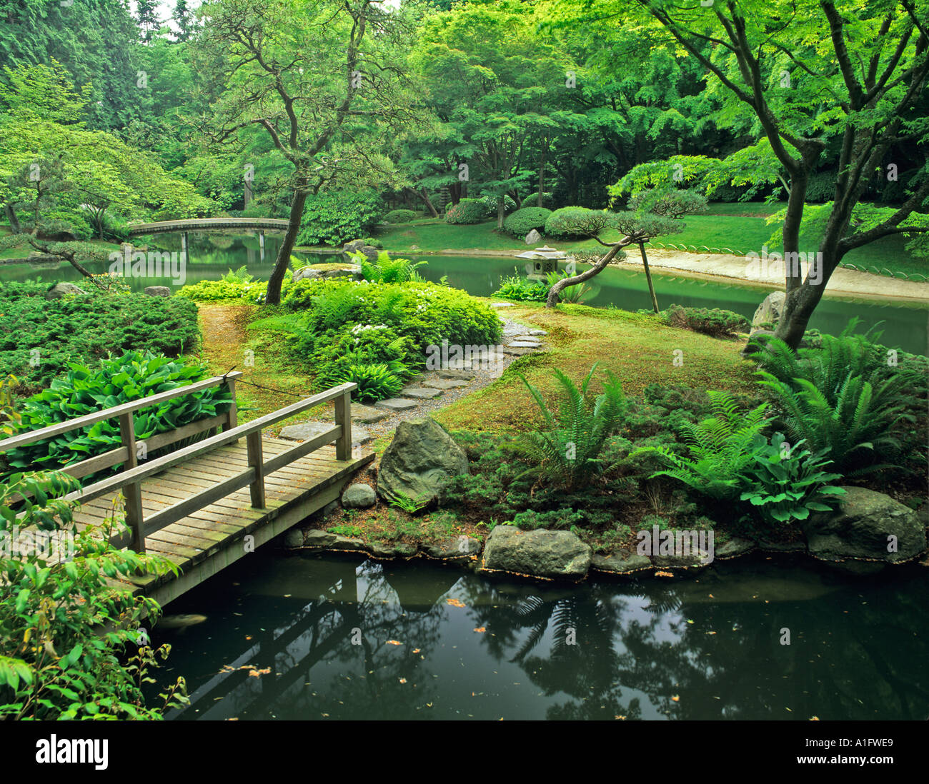 Design Japanese Pond pond and bridge at japanese garden nitobe vancouver bc bc