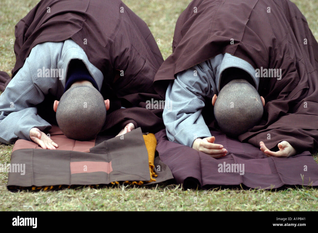 two-korean-zen-buddhist-nuns-practice-prostations-in-bodhgaya-in-bihar-A1PB41.jpg