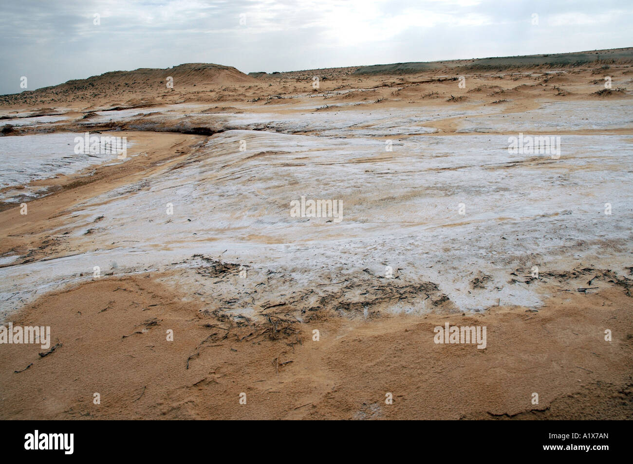 Salt on Sahara desert in Tunisia Stock Photo: 10345004 - Alamy