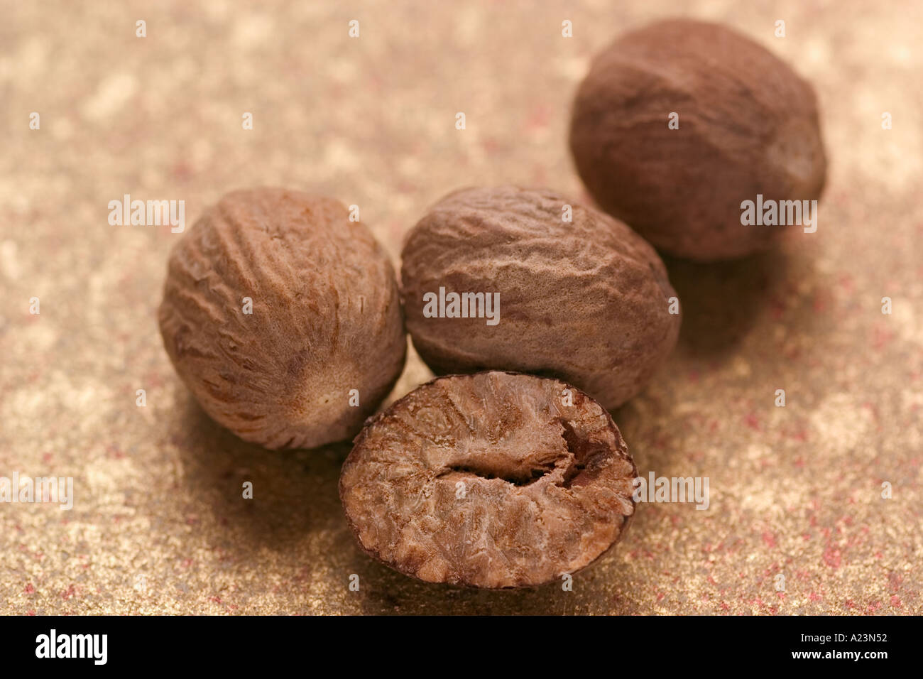 nutmegs Stock Photo, Royalty Free Image 3393873 Alamy