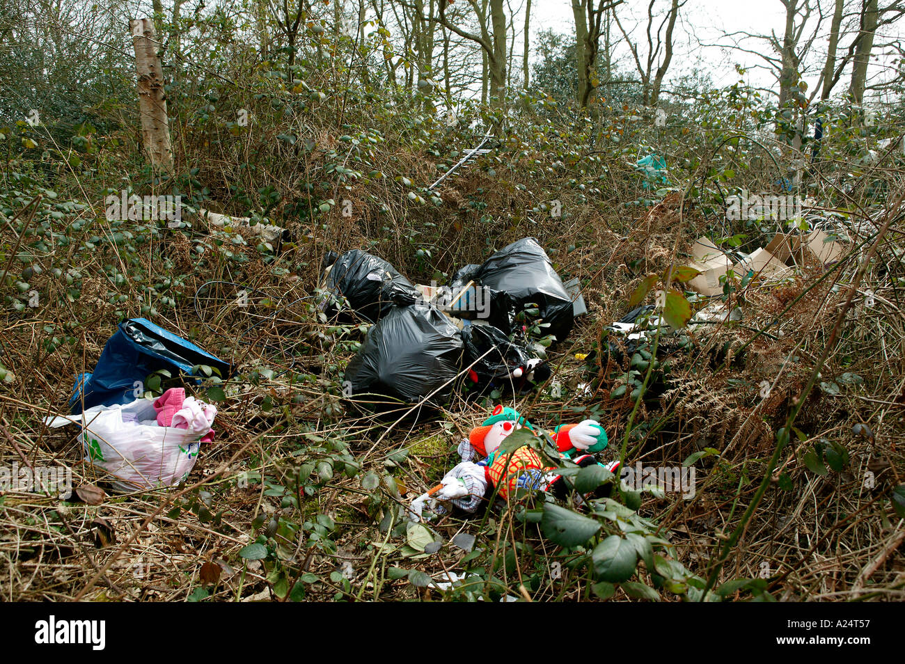 household refuse rubbish dumped in countryside woodland Stock Photo