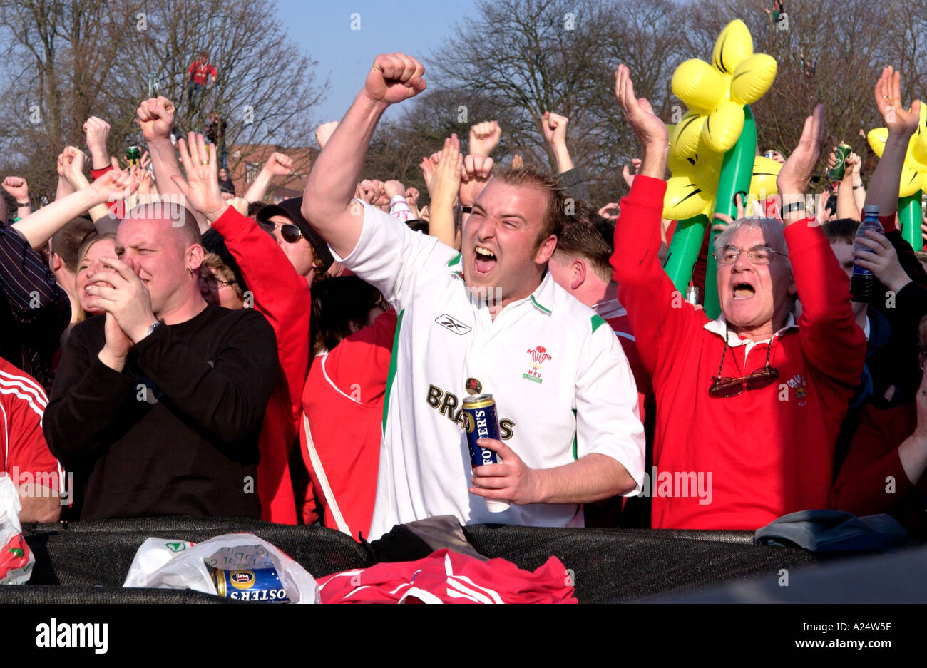 Welsh rugby fans drinking beer and celebrating Wales winning an Stock