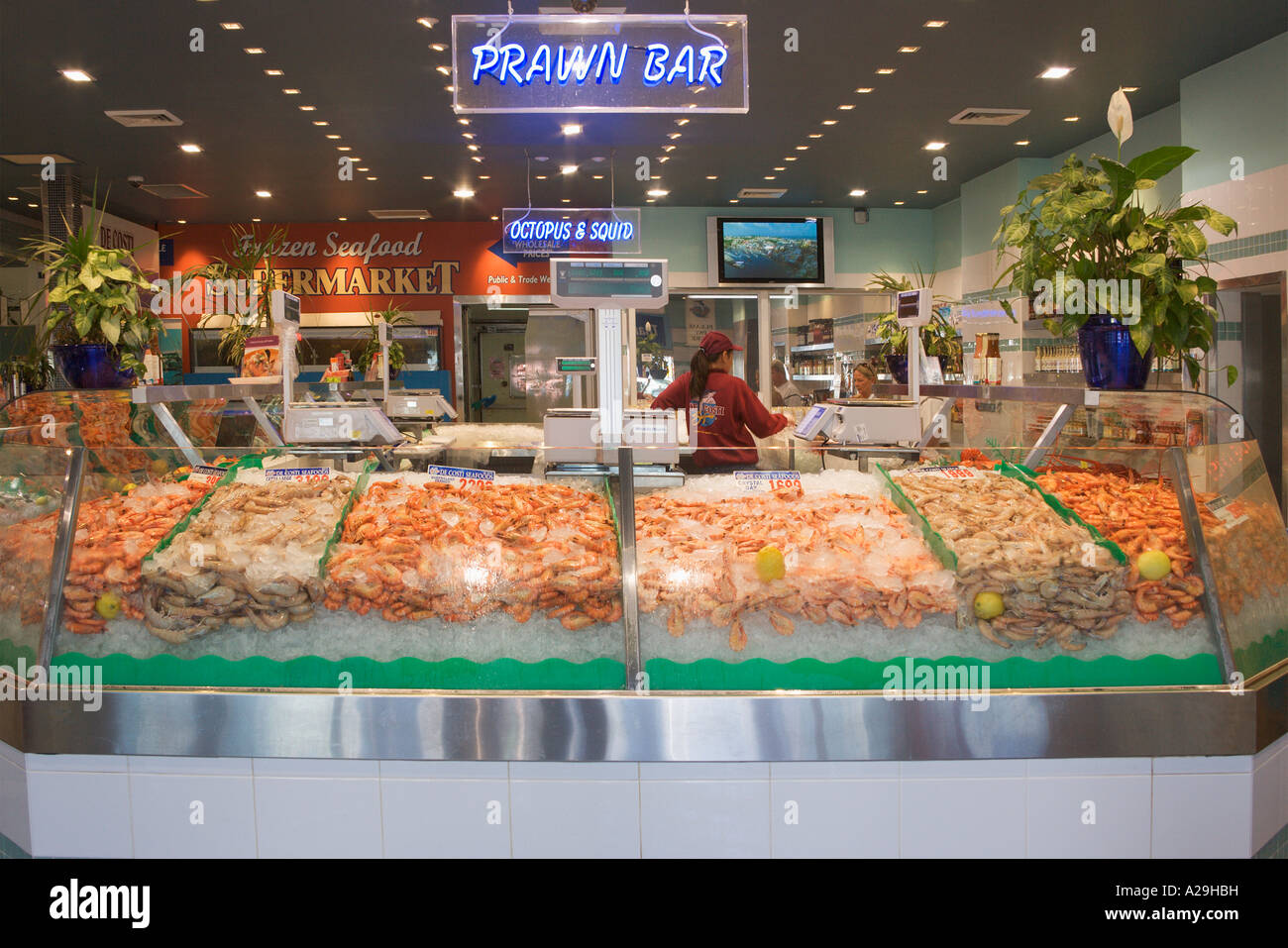 Seafood on sale at Sydney Fish Market Sydney Australia Stock Photo