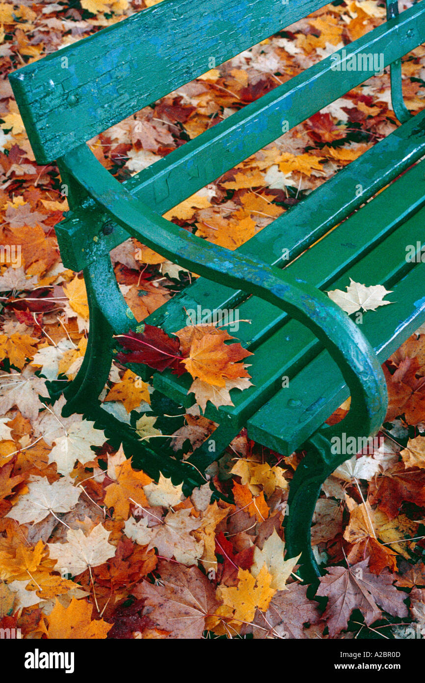 a-green-park-bench-and-autumn-leaves-at-
