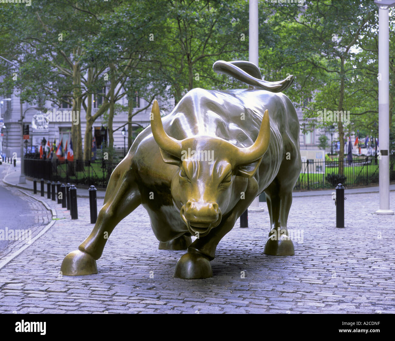 Wall Street Bull Art wall street bull broadway manhattan new york stock photo, royalty Wall Street Bull Art wall street bull broadway manhattan new york stock photo, royalty