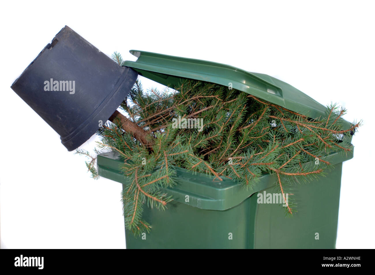 christmas tree in a bin rubbish thrown away discarded bin christmas tree in a bin rubbish thrown away discarded bin