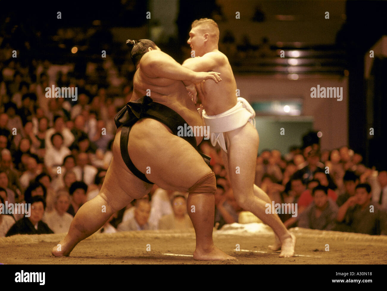 Fat Sumo Wrestlers 39