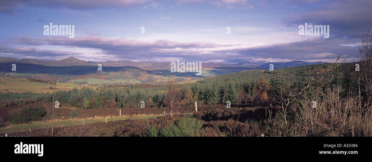 donnybrook stock photos donnybrook stock images alamy strathtay aberfeldy stock photo royalty free image 209798 alamy donnybrook stock photos donnybrook stock images alamy strathtay aberfeldy stock photo royalty free image 209798 alamy
