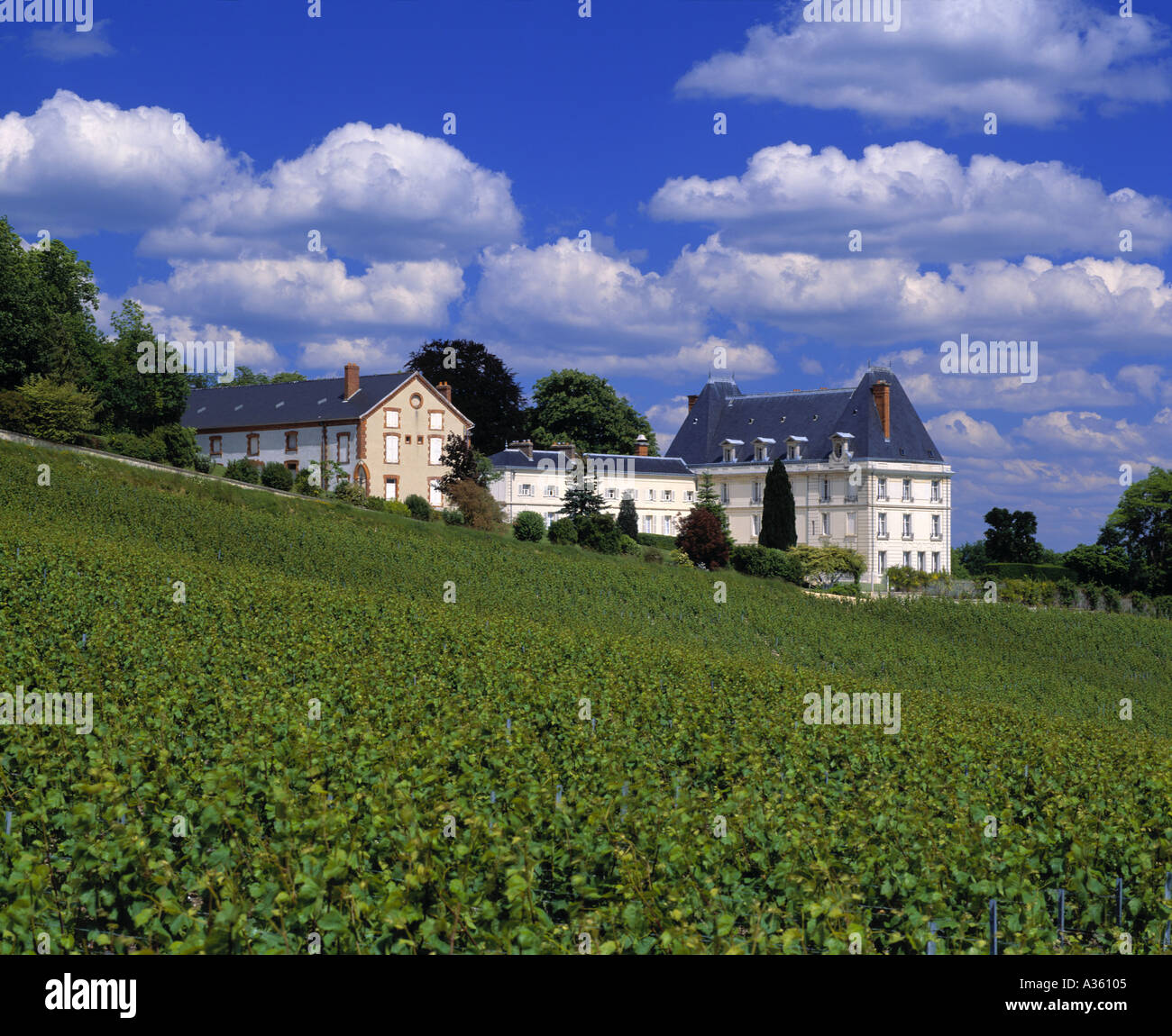 Moët et Chandon Château de Saran Cramant Marne France Côte des Blancs