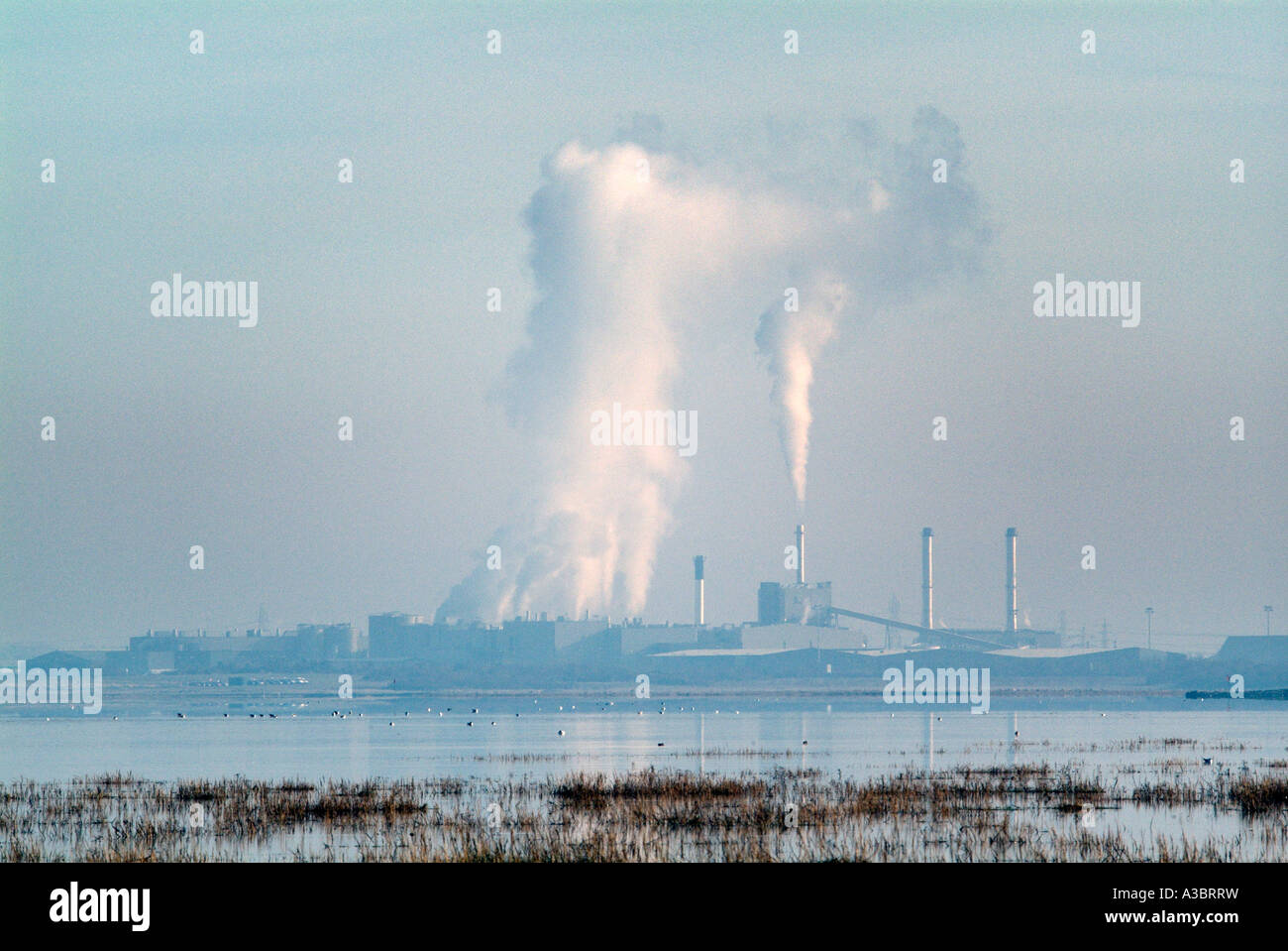 Essay school children pollution