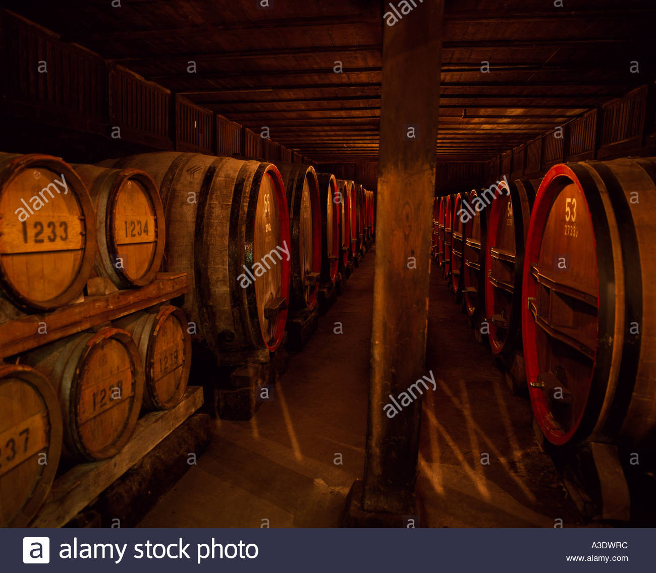 Katsunuma, Wine storehouse, Warehouse, Barrel, Yamanashi, Japan Stock