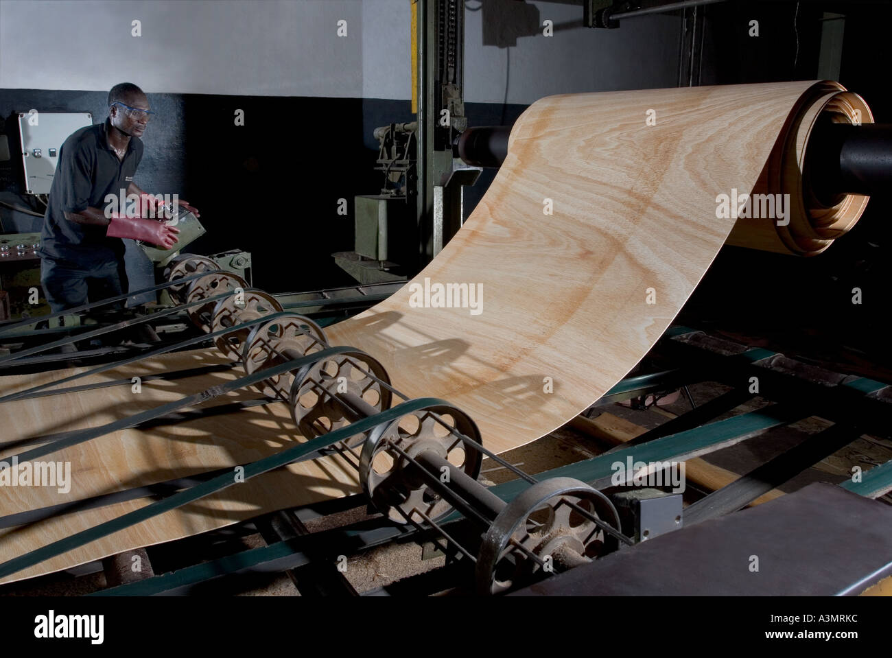 Sapele veneer being sliced on a rotary cutter into required lengths
