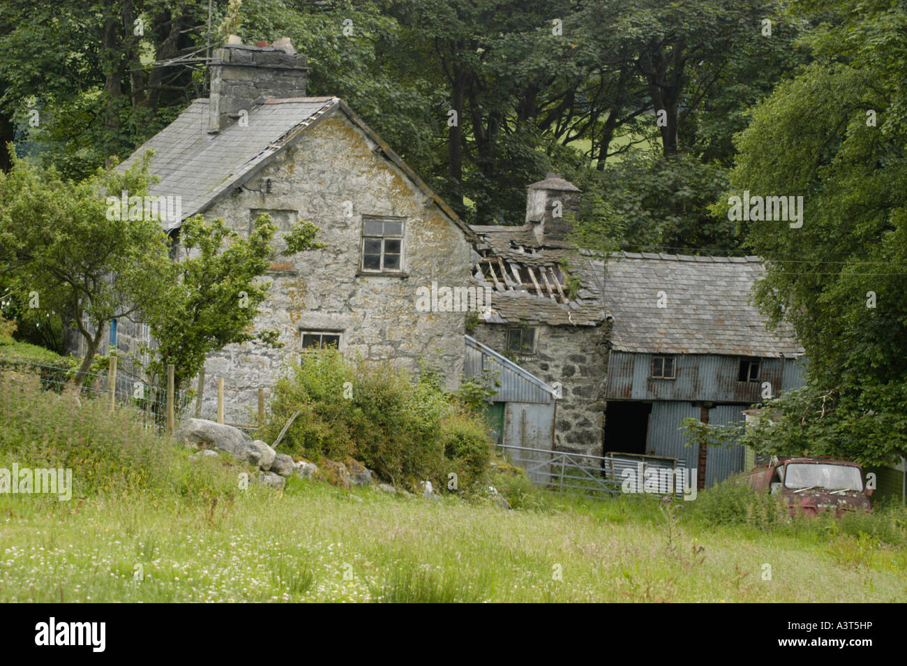 old ruined welsh farmhouse near Bala Gwynedd north wales UK Stock Photo