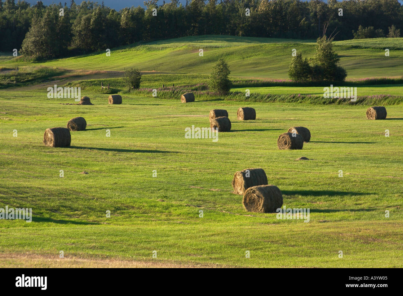farmland Alaska Stock Photo, Royalty Free Image 3554564 Alamy