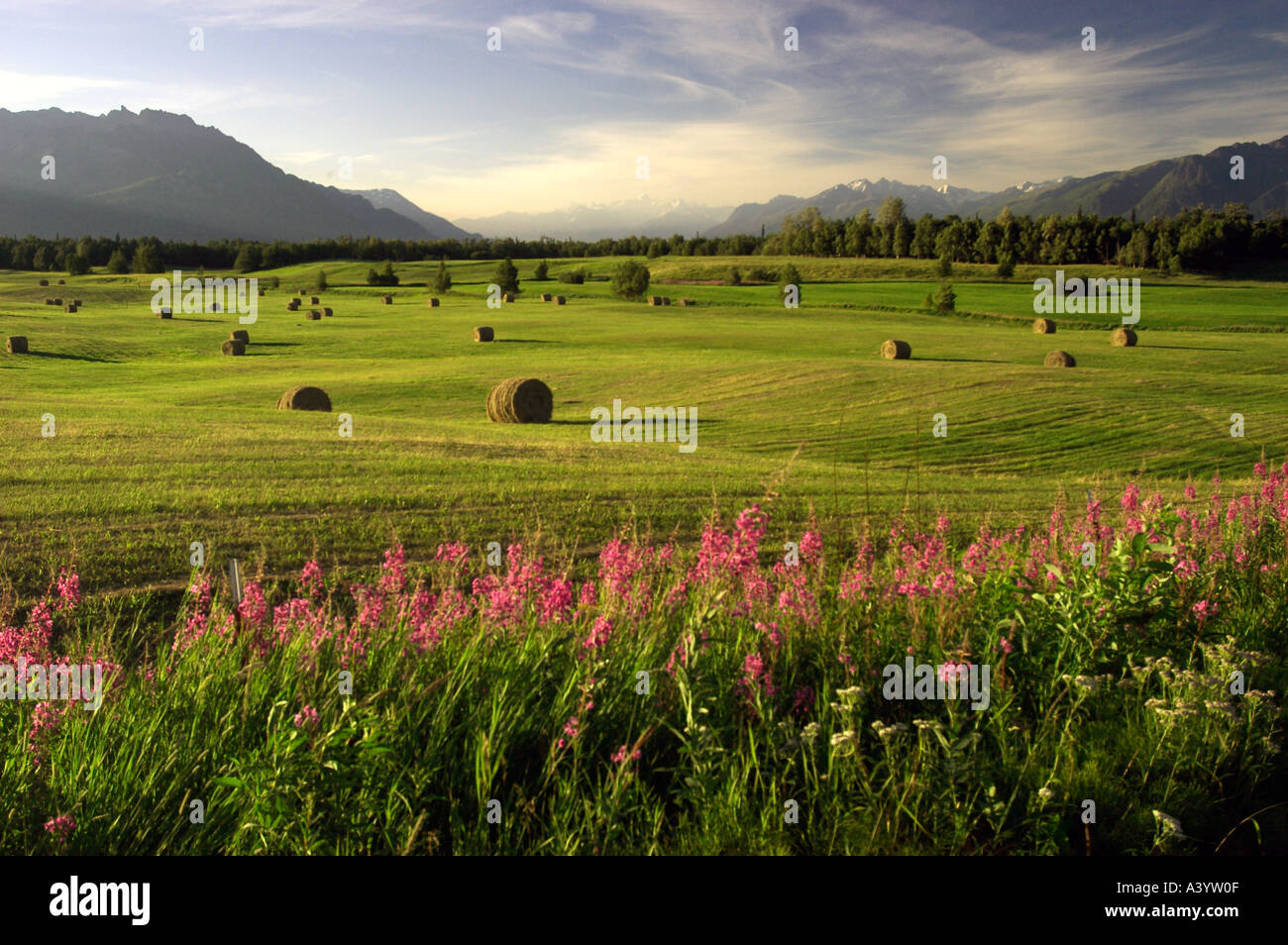 farmland Alaska Stock Photo, Royalty Free Image 3554574 Alamy