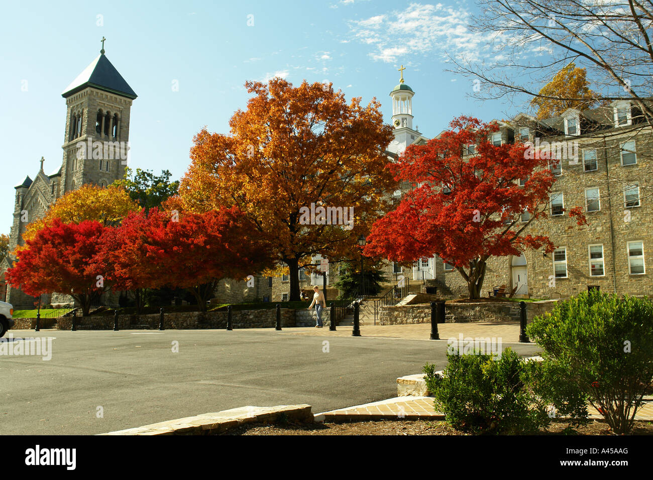 AJD53539, Emmitsburg, MD, Maryland, Mount St. Mary's University Stock
