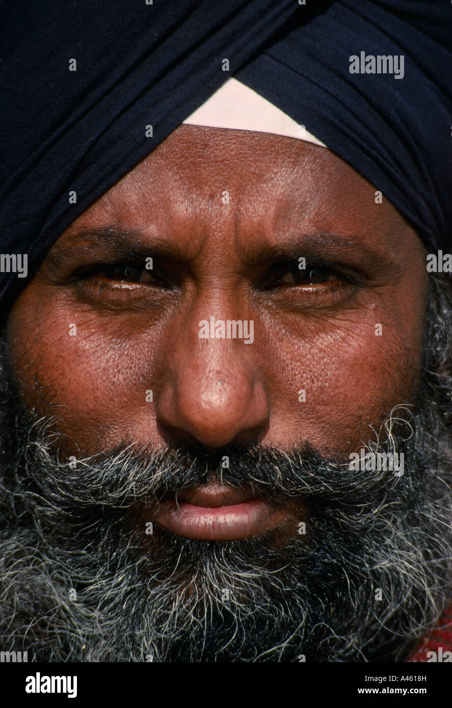 INDIA <b>South Asia</b> Punjab People Portrait Sikh Man with grey beard and black ... - india-south-asia-punjab-people-portrait-sikh-man-with-grey-beard-and-A4618H