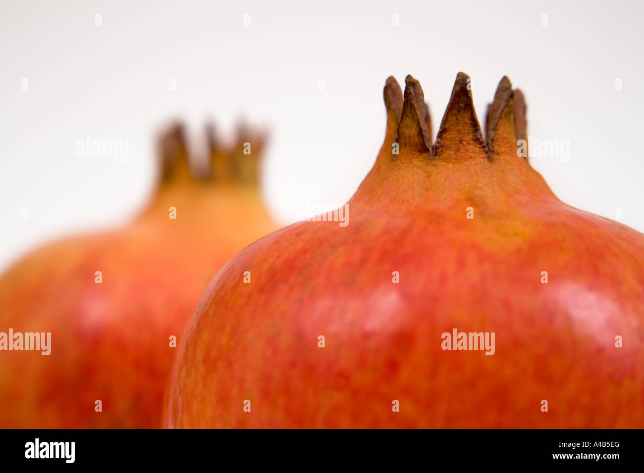 close up side view of two pomegranates rear fruit out of focus on