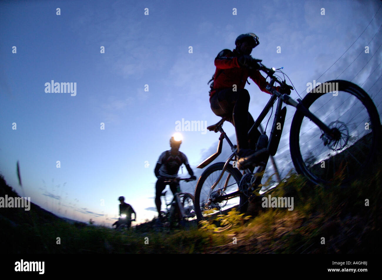 lights for mountain biking at night