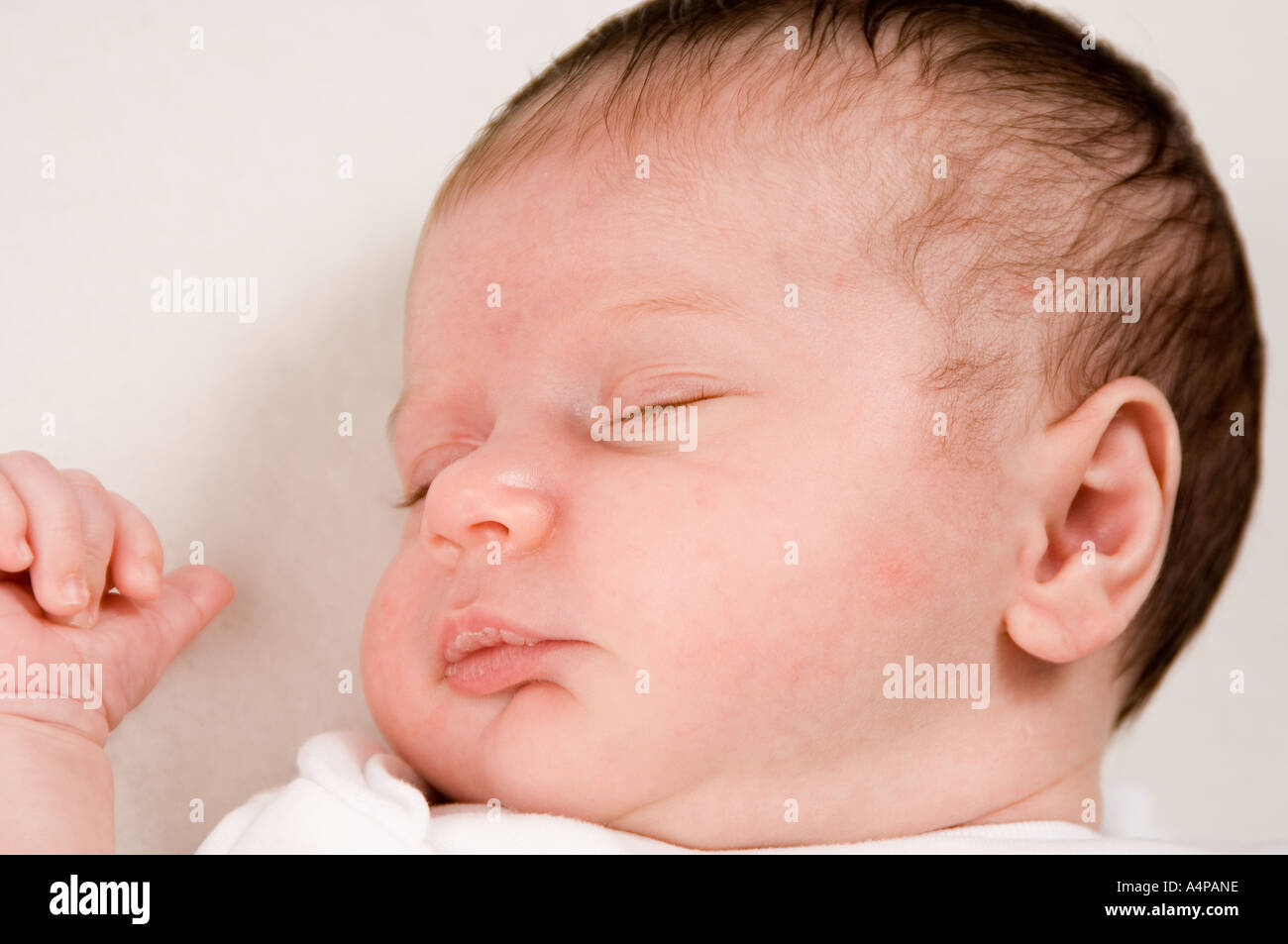 sleeping-4-week-old-baby-stock-photo-royalty-free-image-6342109-alamy
