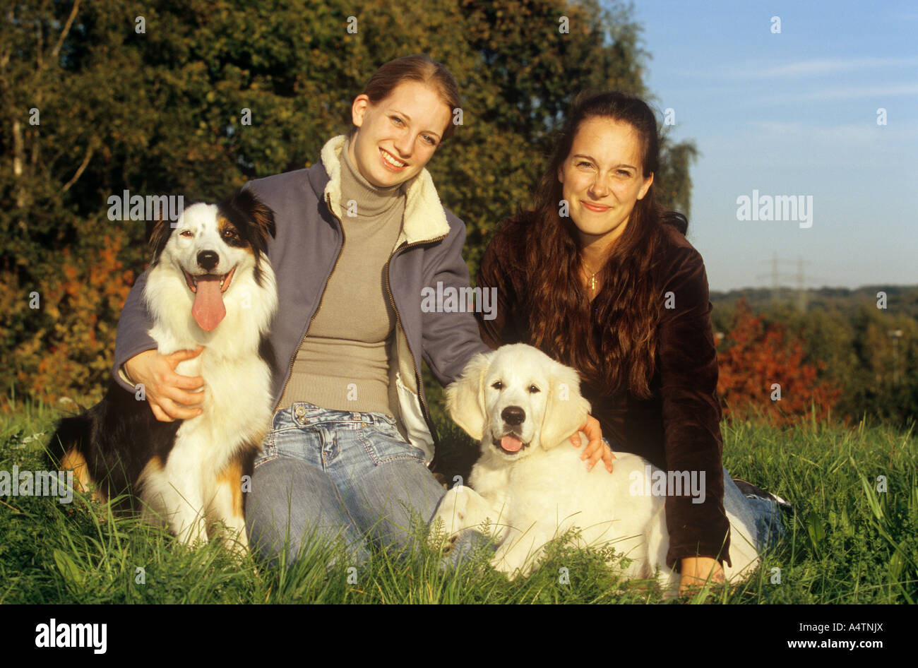 australian shepherd or golden retriever two women with australian shepherd and golden retriever puppy australian shepherd or golden retriever two women with australian shepherd and golden retriever puppy