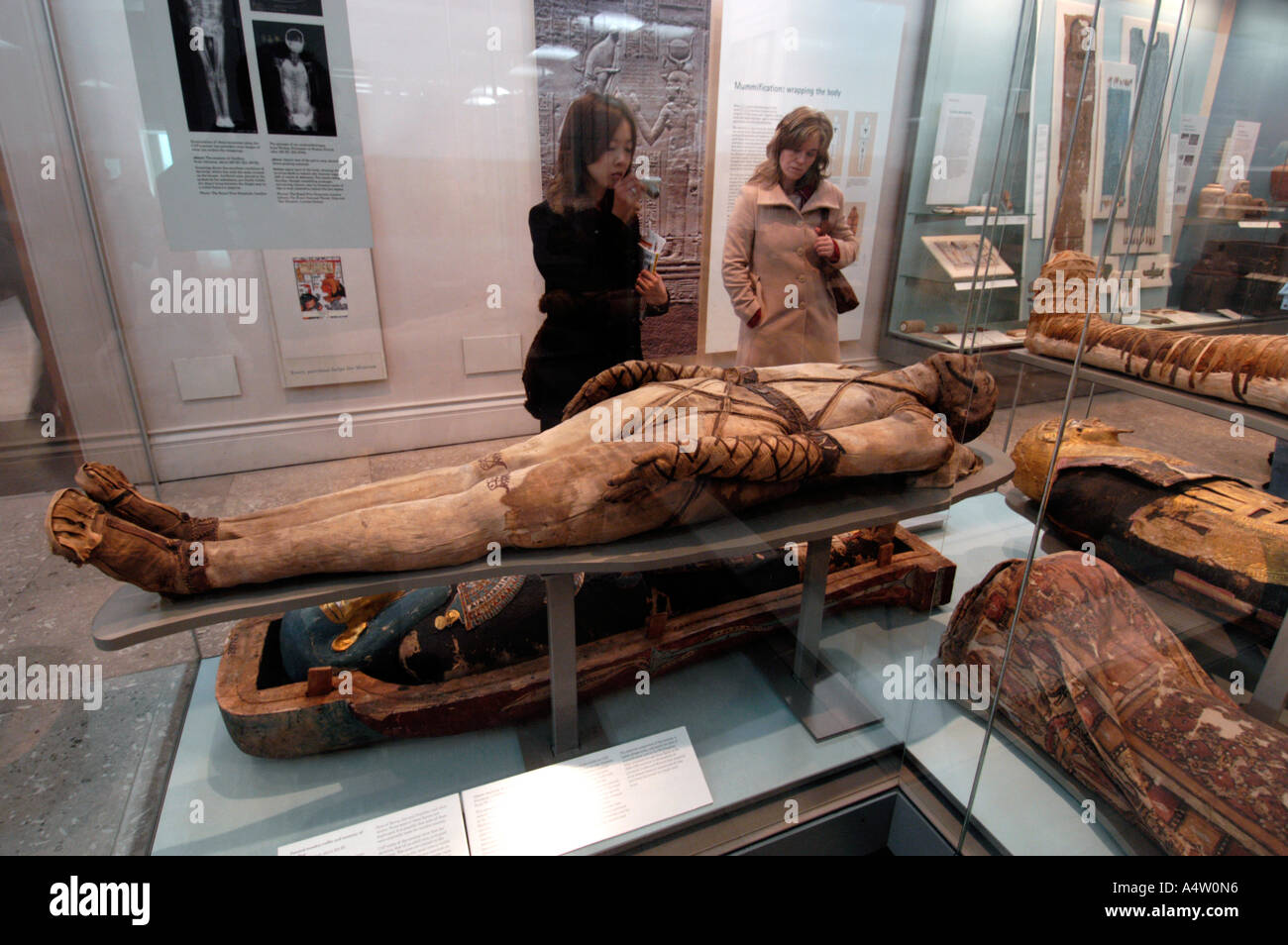 Egyptian mummies at The British Museum, London England UK Stock Photo