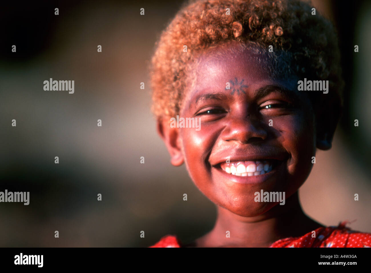 Linette a young girl from Tembin village on the West Coast of <b>New Ireland</b> ... - linette-a-young-girl-from-tembin-village-on-the-west-coast-of-new-A4W3GA