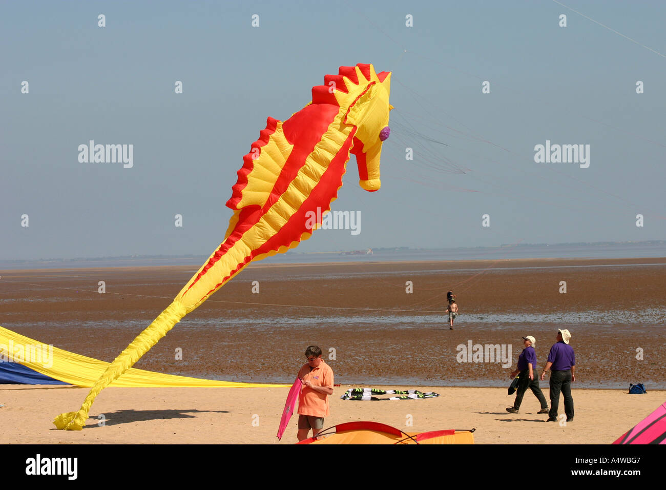 Red and yellow seahorse shaped kite being flown at the International