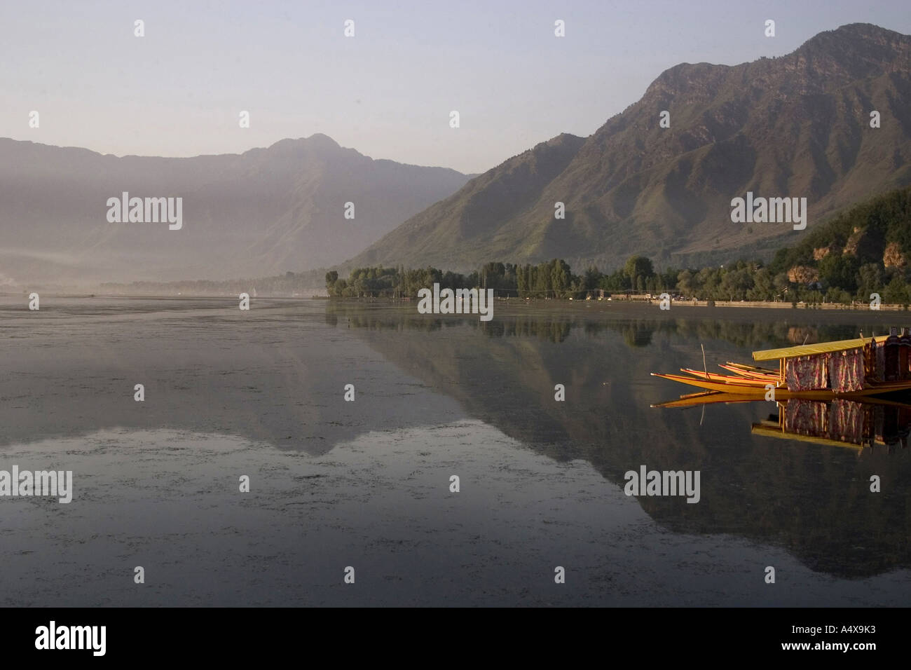 Dal Lake Srinagar Jammu Kashmir India Stock Photo Alamy