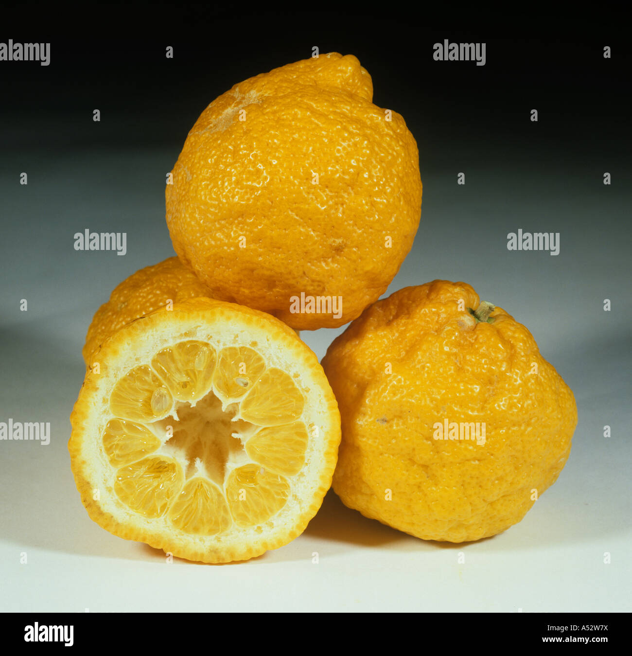 Whole Sectioned Fruit From Citrus Rootstock Tree Rough Lemon Citrus