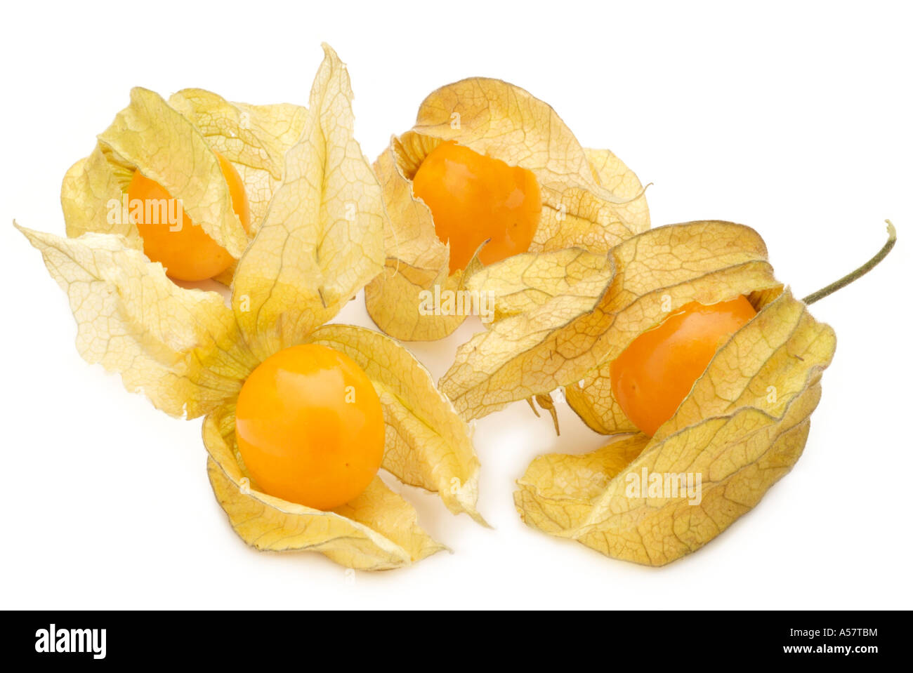 physalis cape gooseberry fruit fresh seasonal tropical exotic
