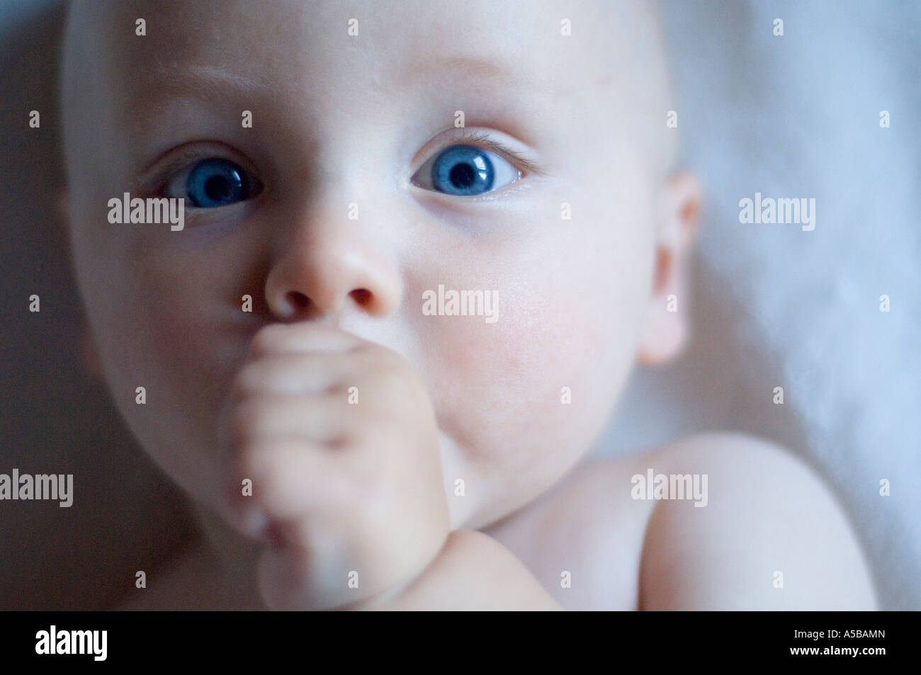 Small Healthy Baby Sucking Thumb With Big Eyes Stock Photo Alamy