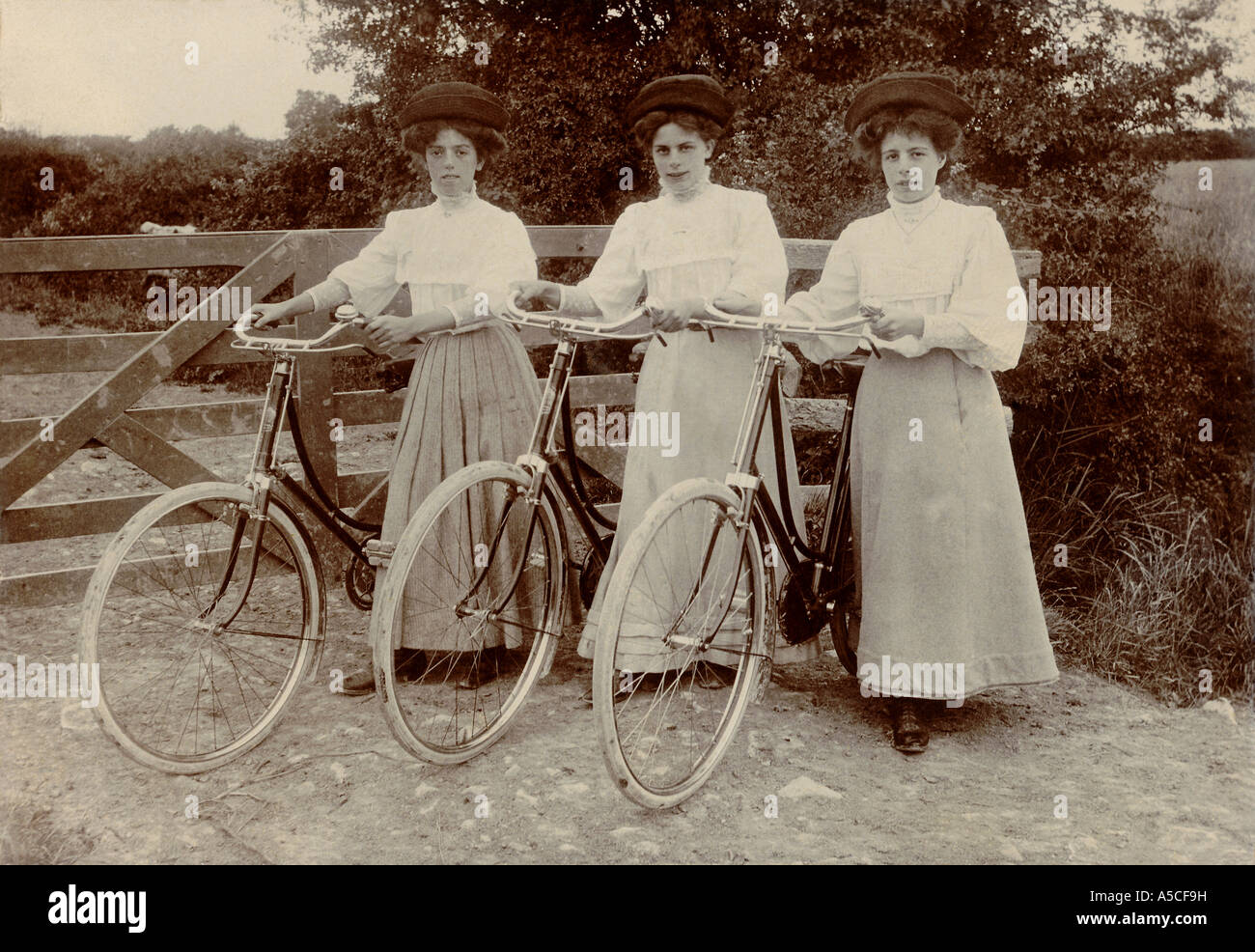 Group of Edwardian lady cyclists enjoying the countryside Stock Photo