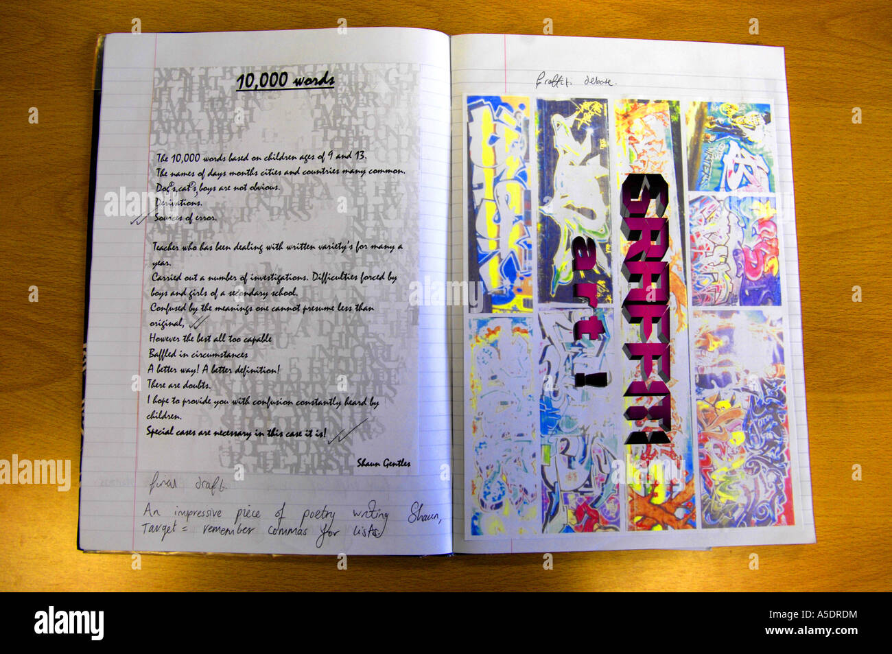 Esl school presentation example image