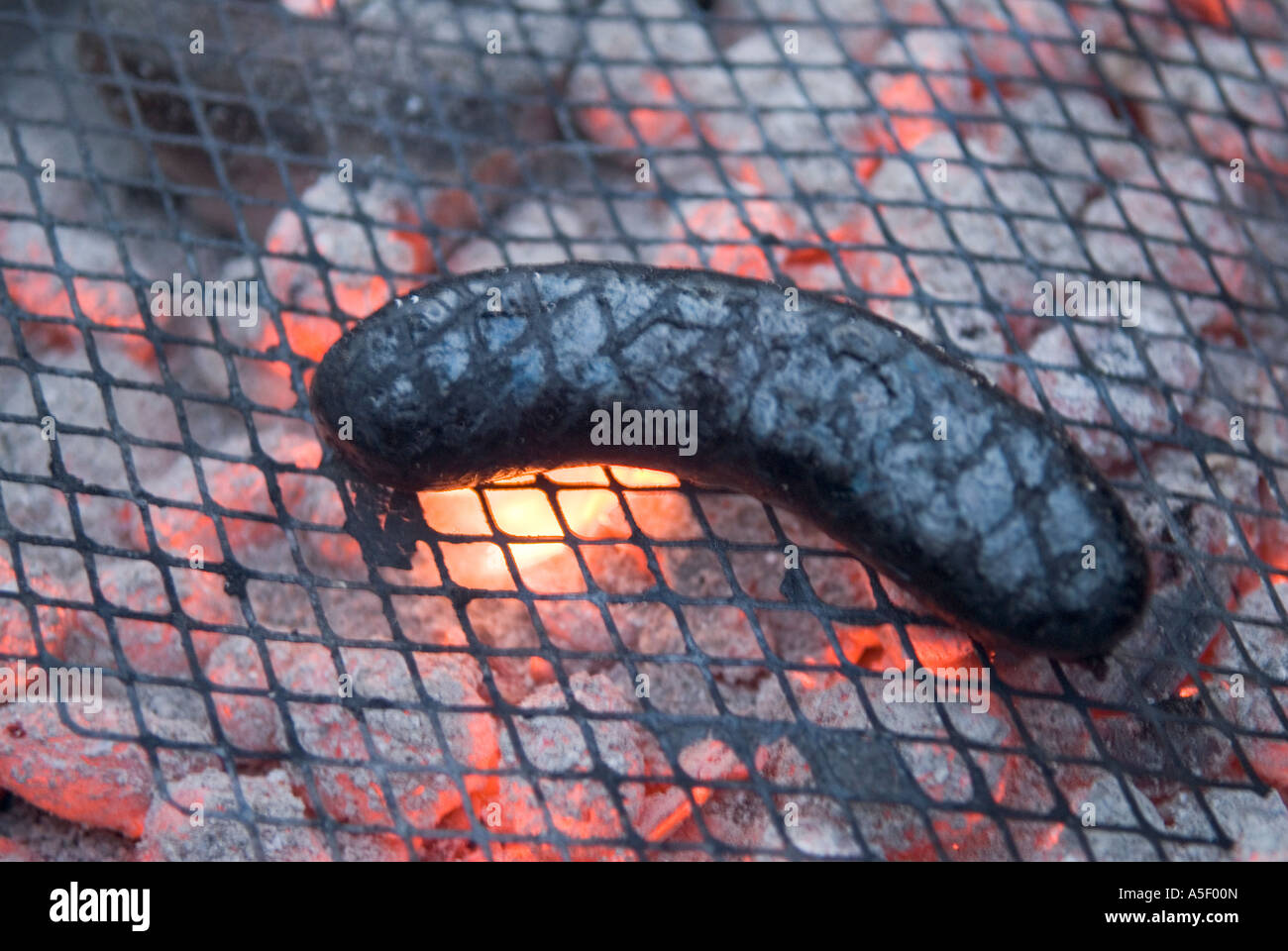 Burned sausage Stock Photo, Royalty Free Image 11292740 Alamy