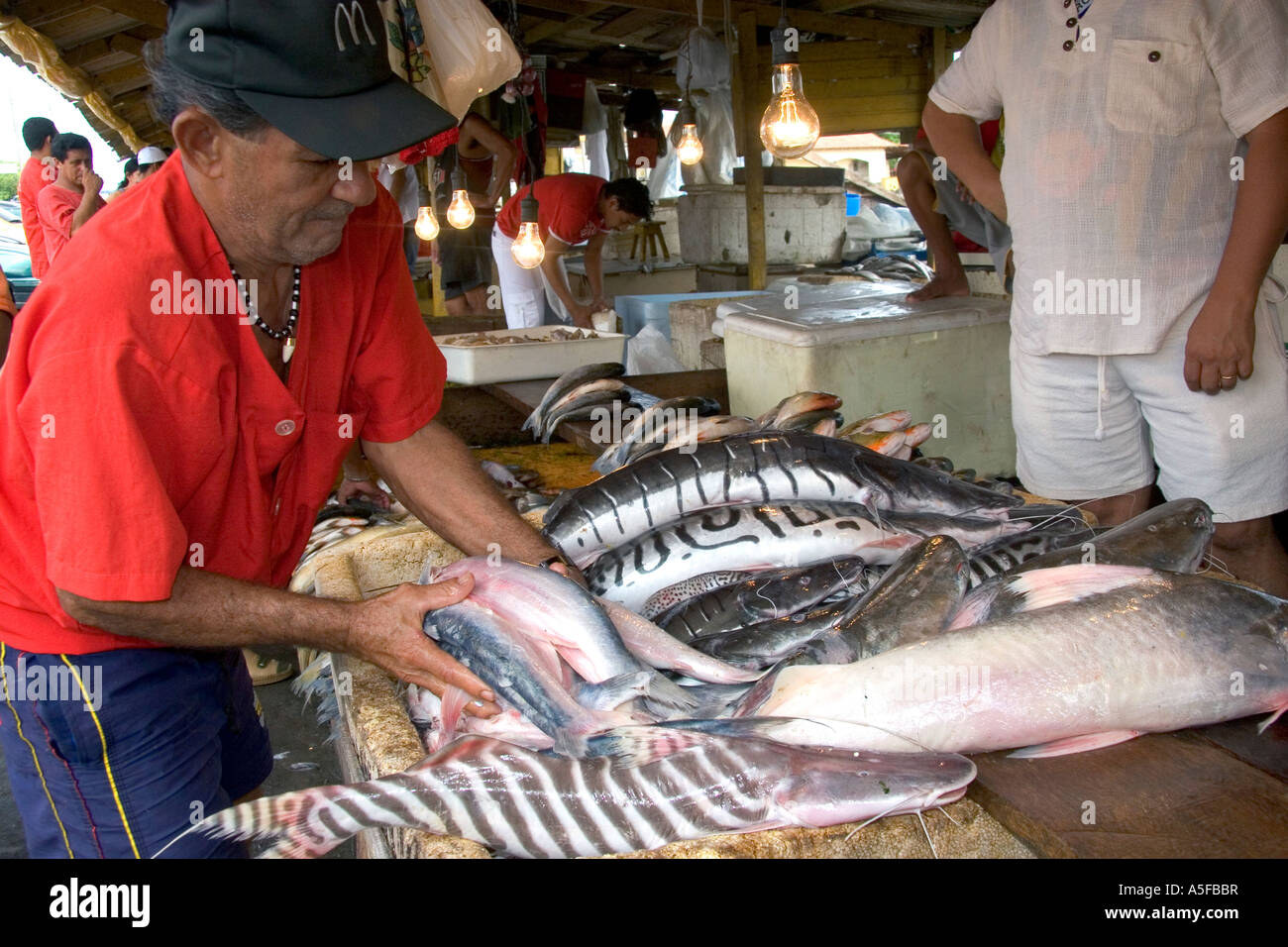 Vendor selling fish at a market in Manaus Brazil Stock Photo, Royalty