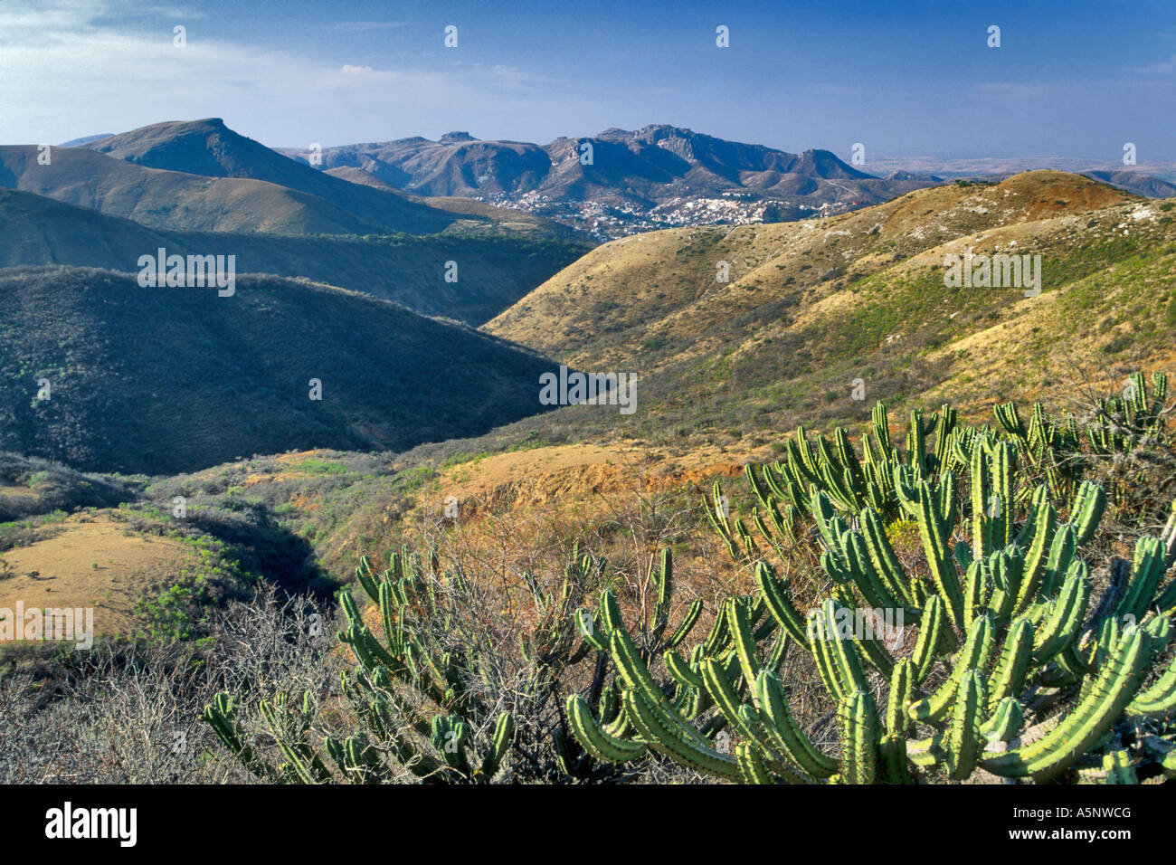 Distant View Of Guanajuato At Mexican Plateau Mexico Stock Photo 