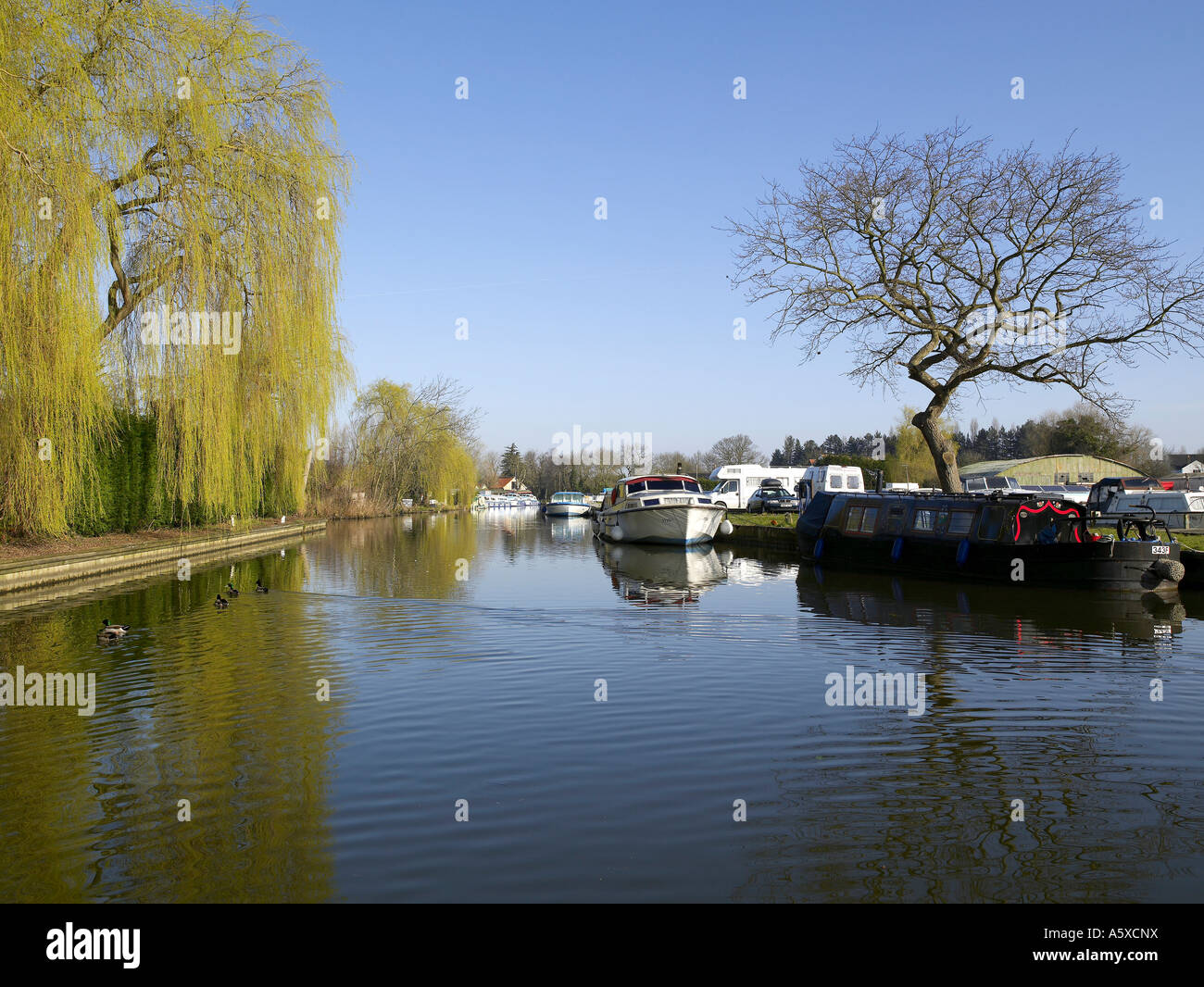 Stalham Green Norfolk at Bryan Barnes blog
