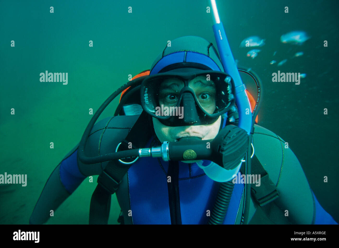 Freshwater scuba diving (36270 Eguzon Chantôme France). Plongée Stock