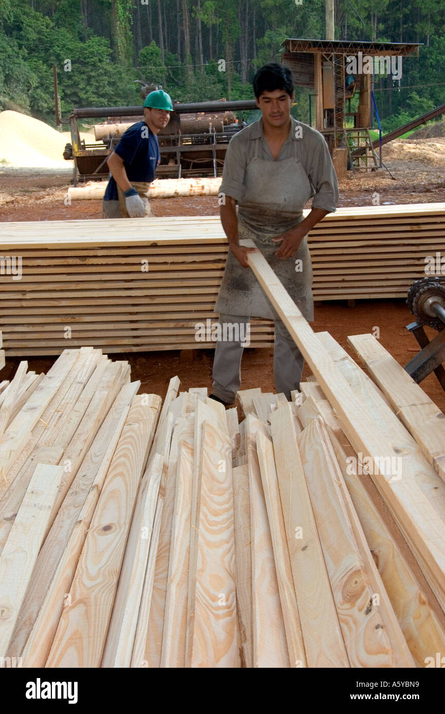 Worker sorting lumber at a mill in Argentina Stock Photo, Royalty Free