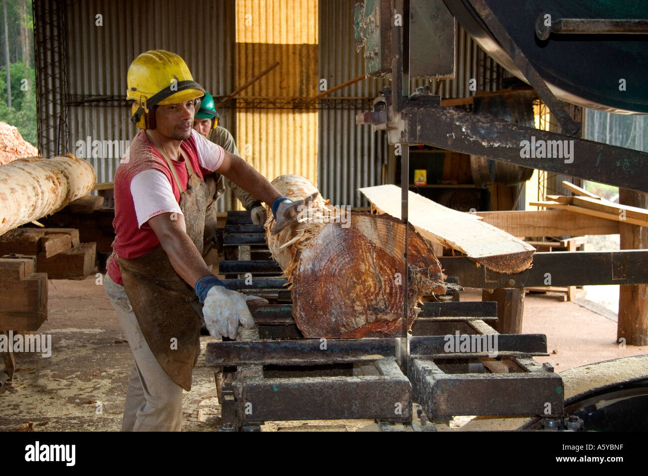 Worker cutting logs at a lumber mill in Argentina Stock Photo, Royalty