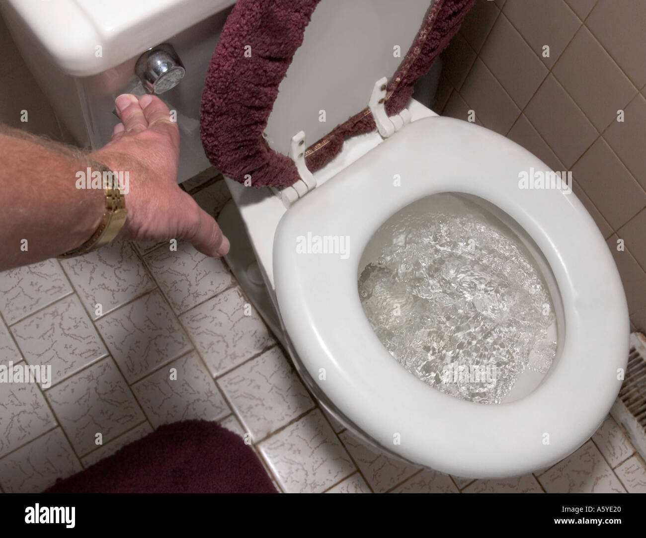 Man flushing toilet Stock Photo, Royalty Free Image 2129439 Alamy