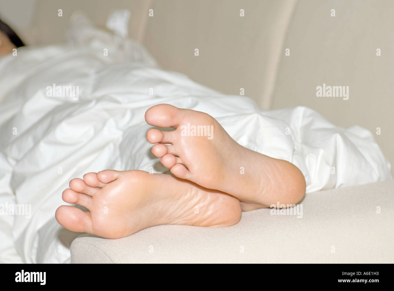 Soles chilling on dashboard 4