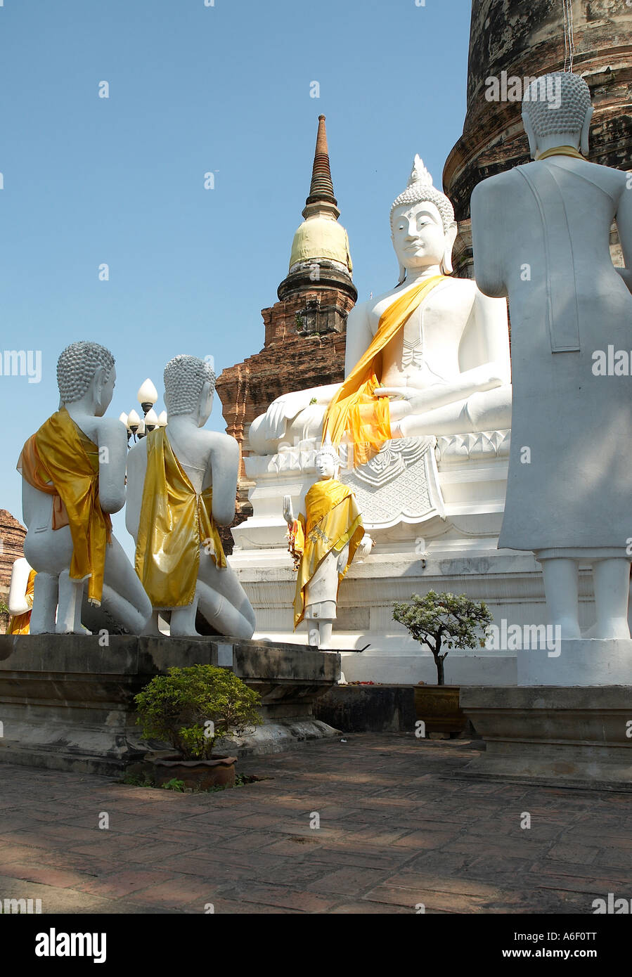 White Buddhas At Wat Yai Chai Mongkol Ayutthaya Thailand Stock Photo