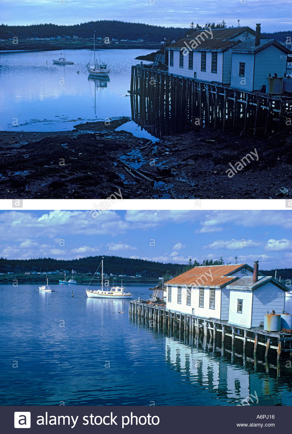 Low-and-high-tide-in-the-Bay-of-Fundy-at