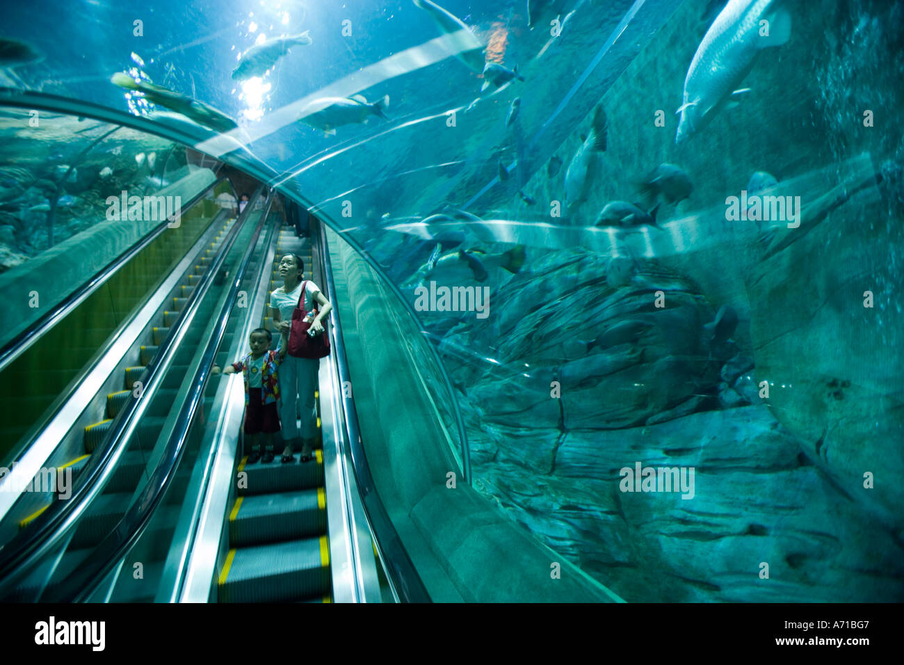 Asia China Shanghai Visitors take escalator down through glass tunnel Stock Photo, Royalty Free