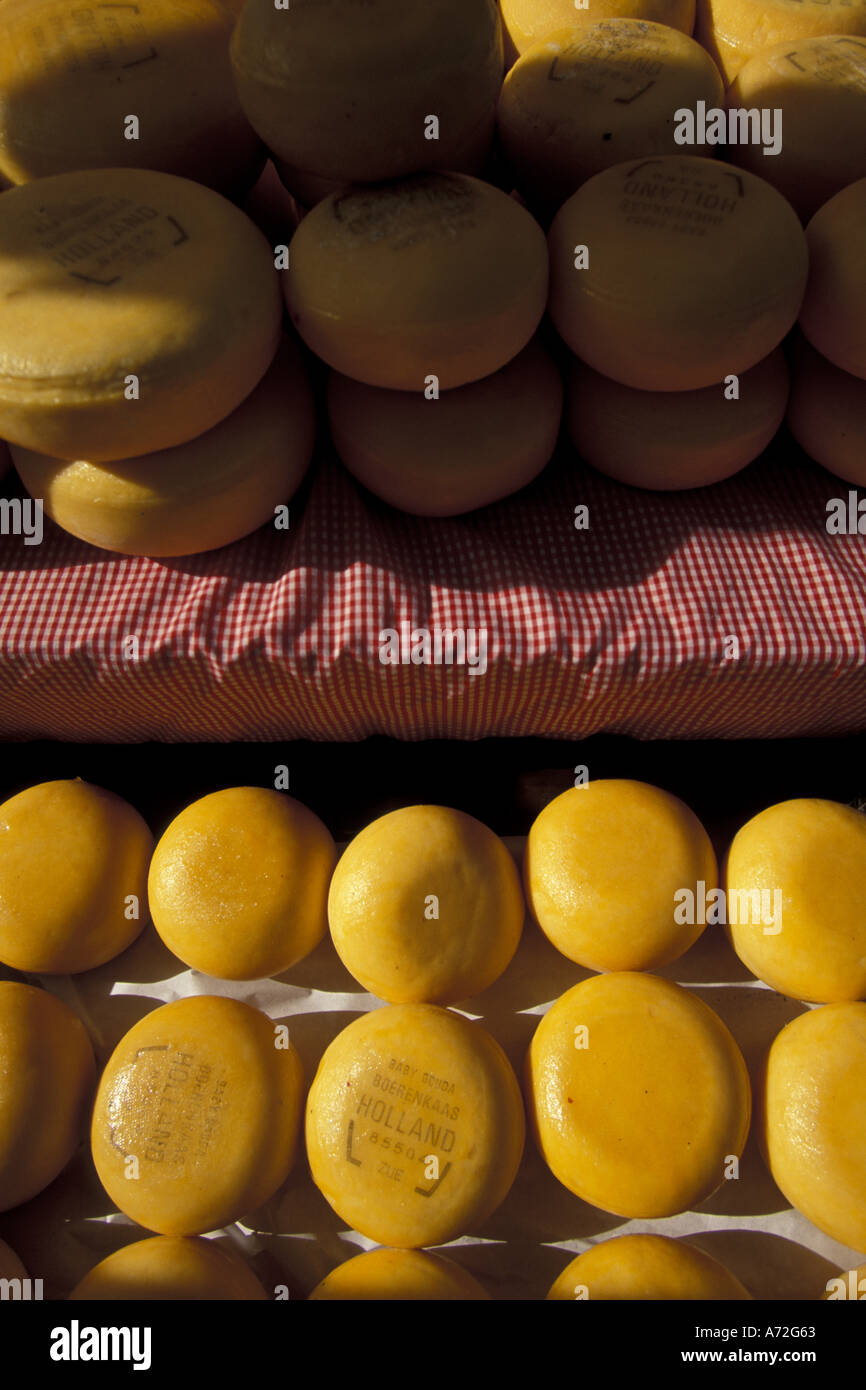 Europe, Netherlands, Noord Holland, Alkmaar. Baby Gouda cheeses Stock