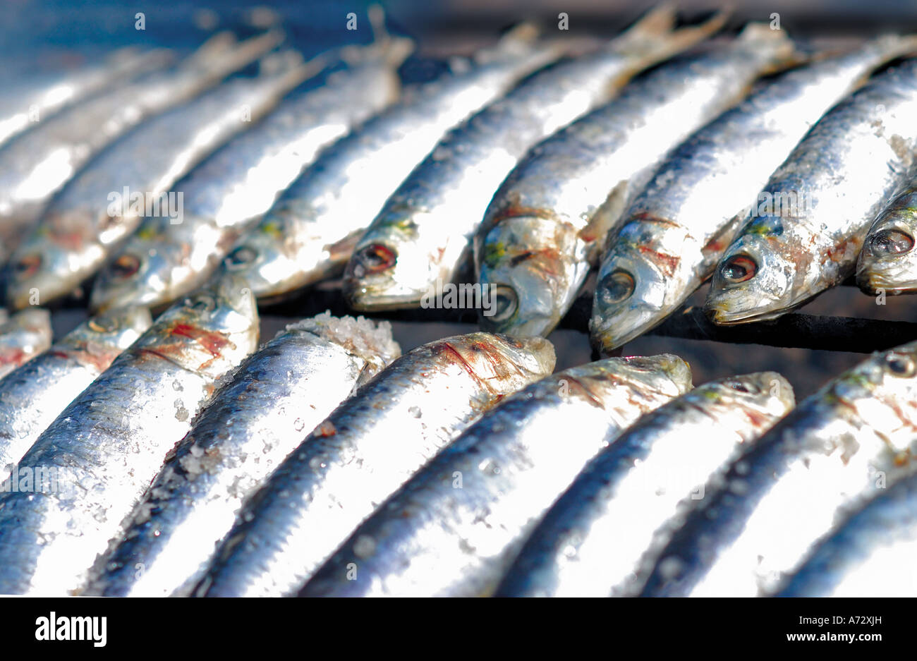 Grilled Sardines, Algarve, Portugal Stock Photo, Royalty Free Image