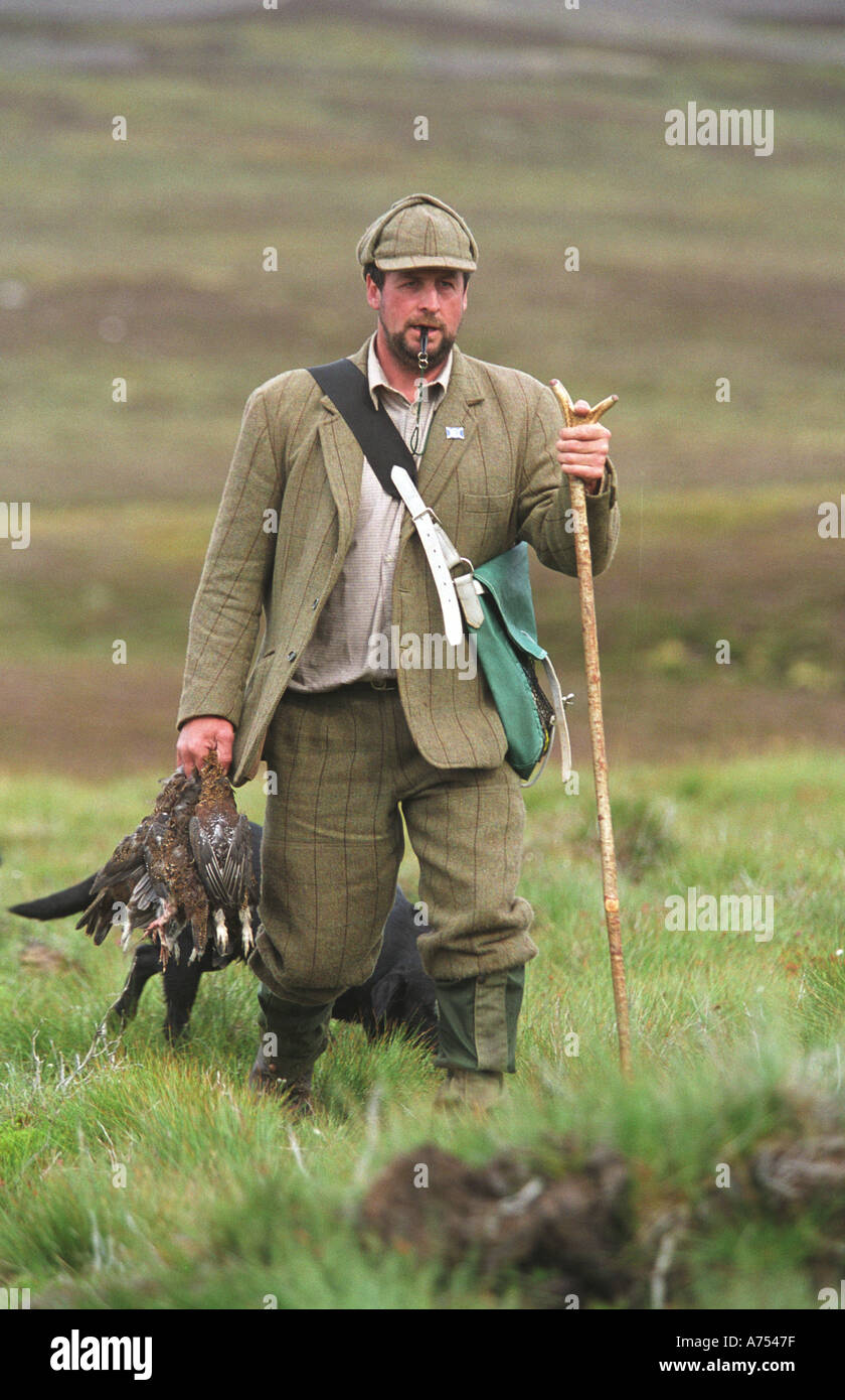 Grouse shooting in Scottish Highlands Stock Photo, Royalty Free Image